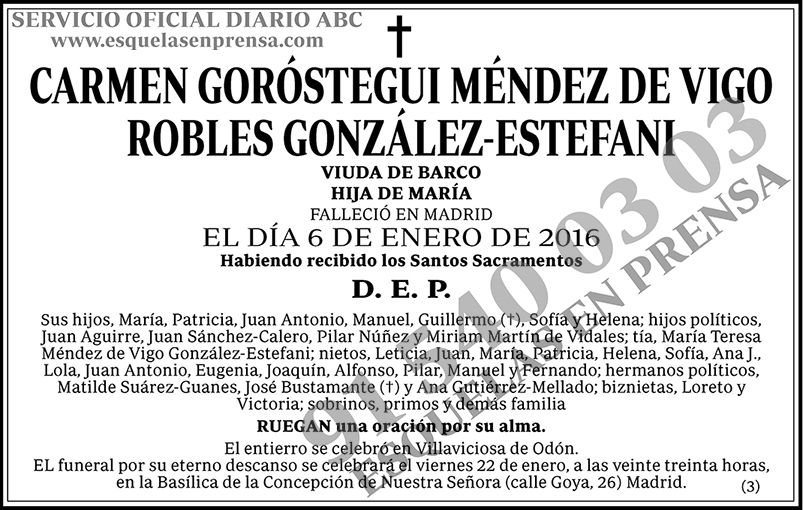 Carmen Goróstegui Méndez de Vigo Robles González-Estefani